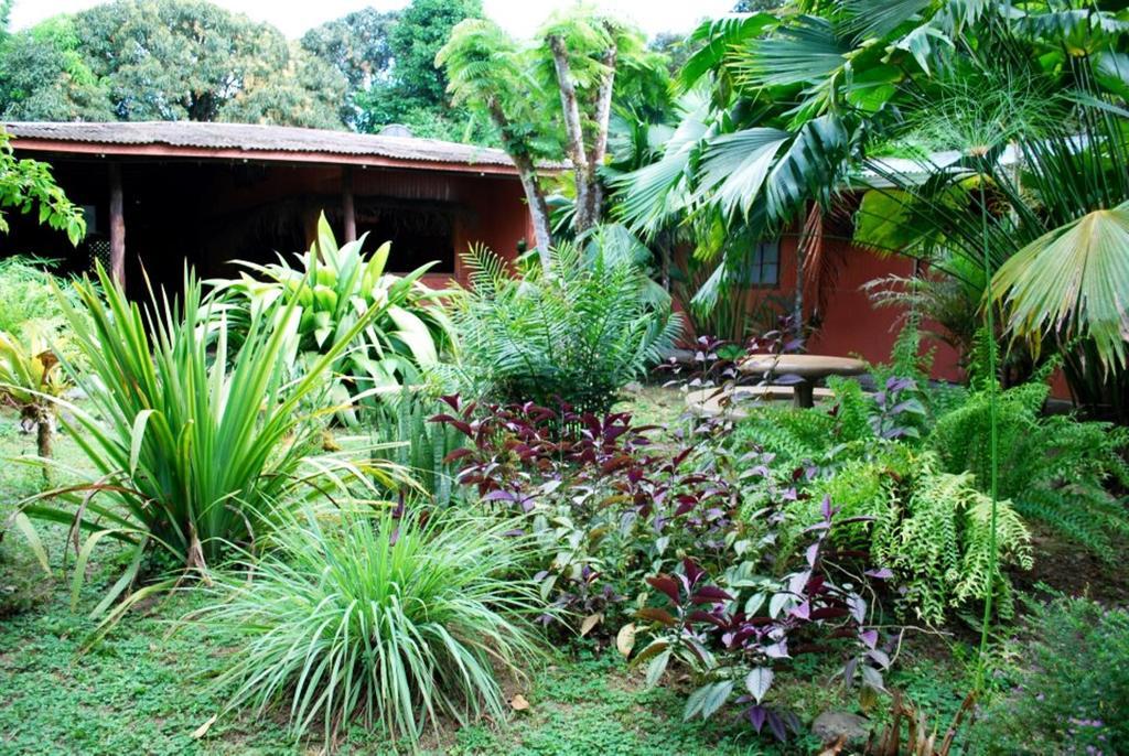 Los Mineros Guesthouse Dos Brazos Extérieur photo