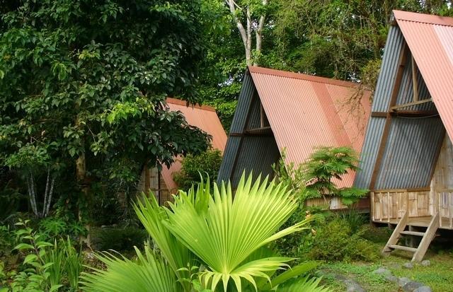 Los Mineros Guesthouse Dos Brazos Chambre photo